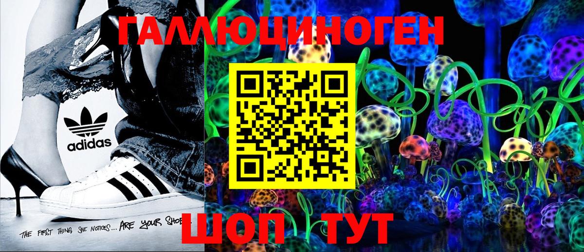 Тверь  Галлюциногенные грибы GOLDEN TEACHER  Вход с VPN  Псилоцибиновые грибы Magic Shrooms 